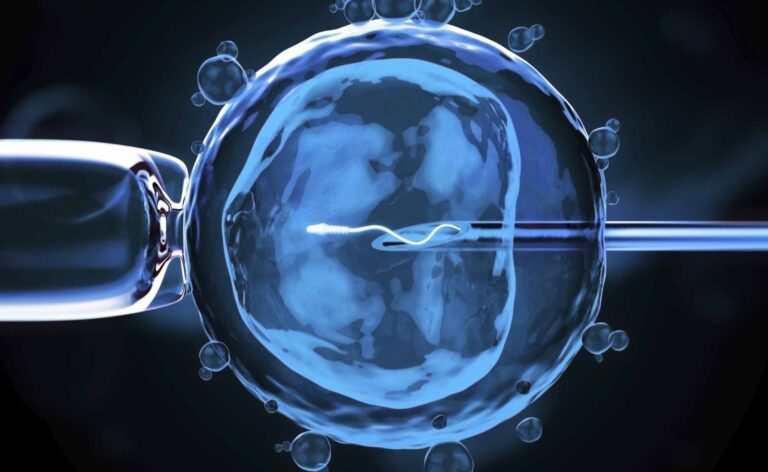 La legge 40 compie 15 anni: storia ed evoluzione della procreazione medicalmente assistita in Italia e nel mondo