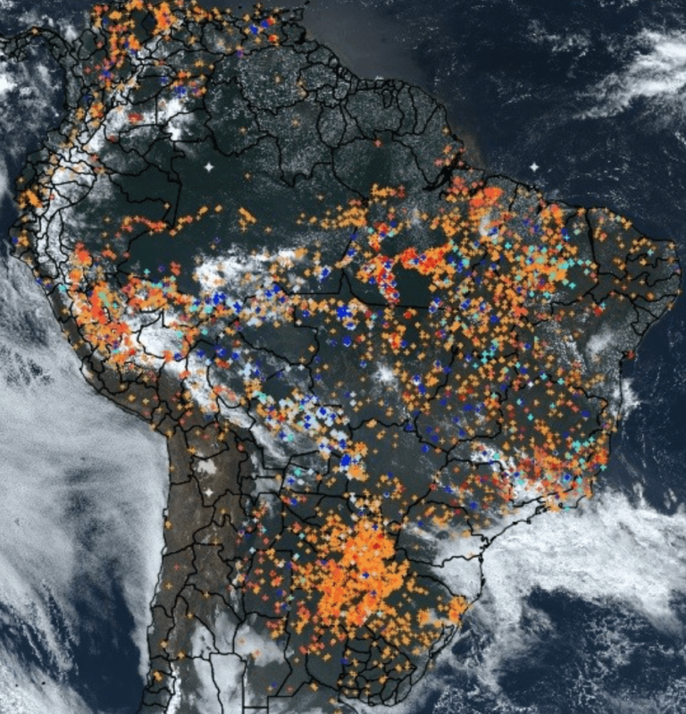 Amazzonia : tra crisi ambientale e fragilità economica