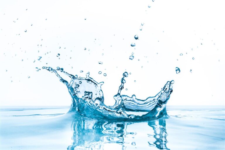 Water grabbing: le guerre nascoste per l’acqua del XXI secolo.