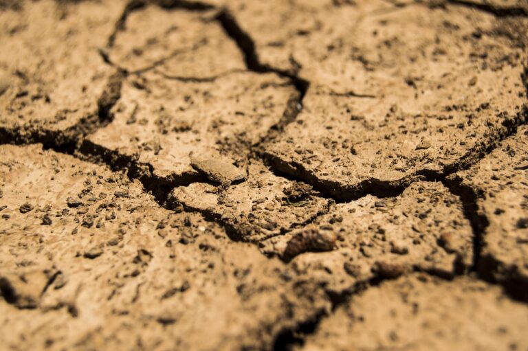 I diritti umani nella crisi ambientale