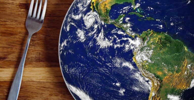 La Food Coalition: la FAO e l’Italia unite per la difesa dei sistemi agroalimentari
