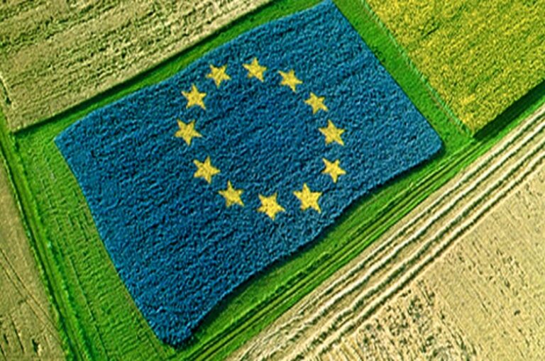 Ogm regolamentazione internazionale ed europea: un quadro caotico
