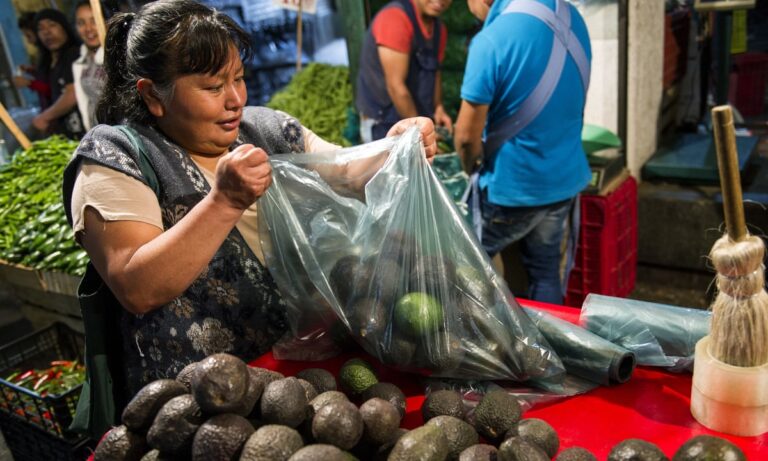 “Oro verde” come possibile Conflict Commodity: la criminalità organizzata in Messico non è solo narcotraffico