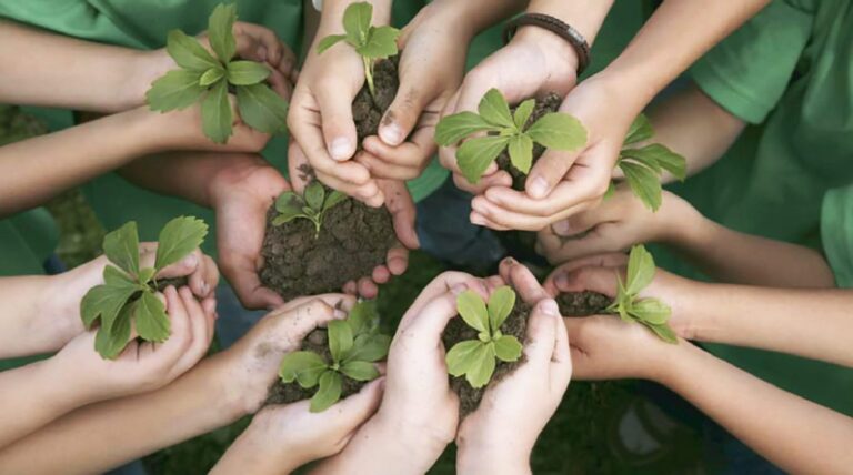 Le associazioni a tutela dell’ambiente: la riespansione di una situazione giuridica monca alla luce della Plenaria n. 6/2020