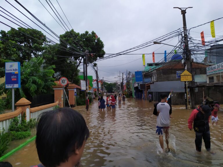 The challenges of littoral megalopolis: Jakarta case