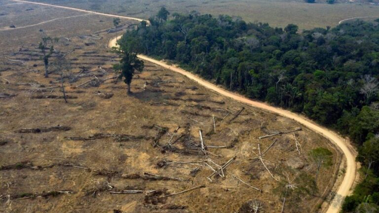 Brasile, un passo in avanti per tutelare la Foresta Amazzonica?
