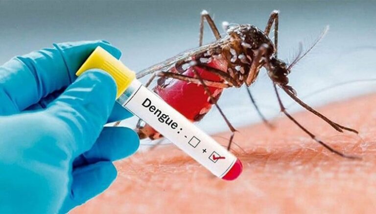 Bangladesh, oltre 1000 morti per epidemia di dengue