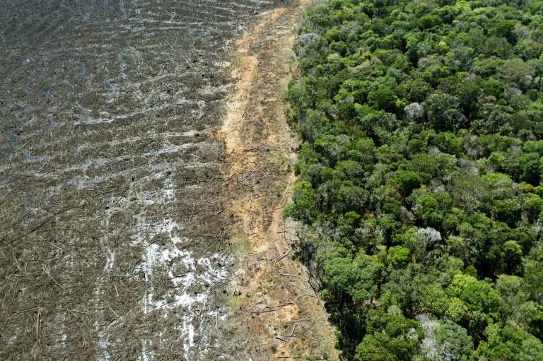 Gli stati europei dovranno introdurre il crimine di Ecocidio