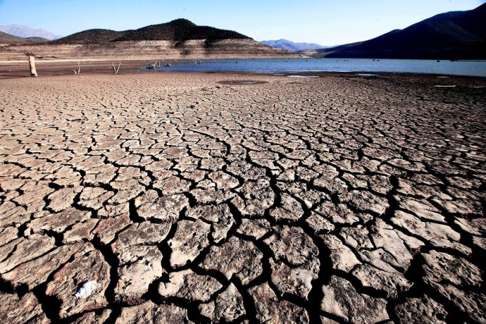 “Terra bruciata”: il podcast sull’America Latina che mette in discussione l’etica dei nostri consumi sostenibili