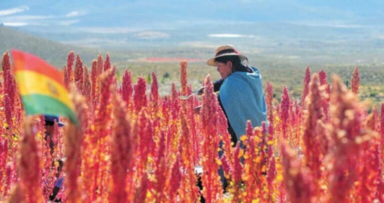 Il calo del saggio del profitto (Marx) nella crisi della quinoa Boliviana