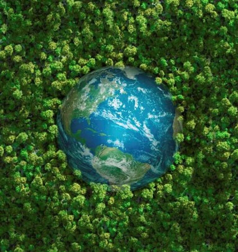 Il futuro del diritto internazionale dell’ambiente